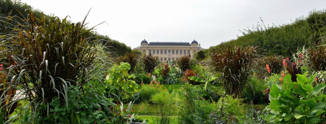 jardin_des_plantes_facade_de_la_grande_galerie_de_l_evolution_0